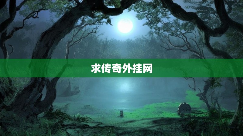 求传奇外挂网