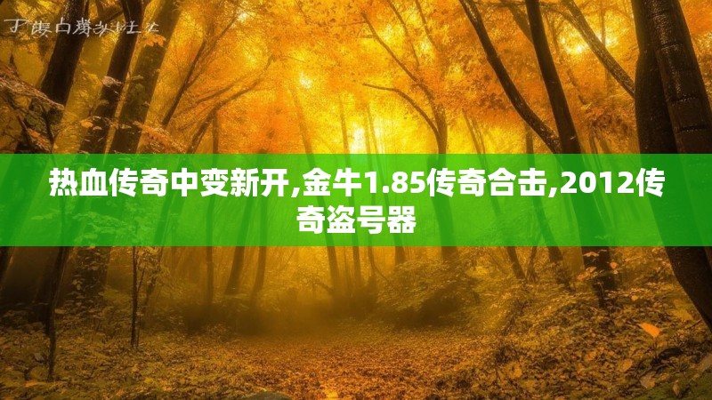 热血传奇中变新开,金牛1.85传奇合击,2012传奇盗号器