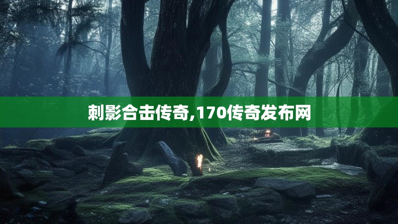 刺影合击传奇,170传奇发布网
