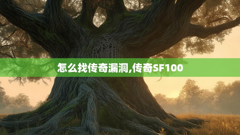 怎么找传奇漏洞,传奇SF100