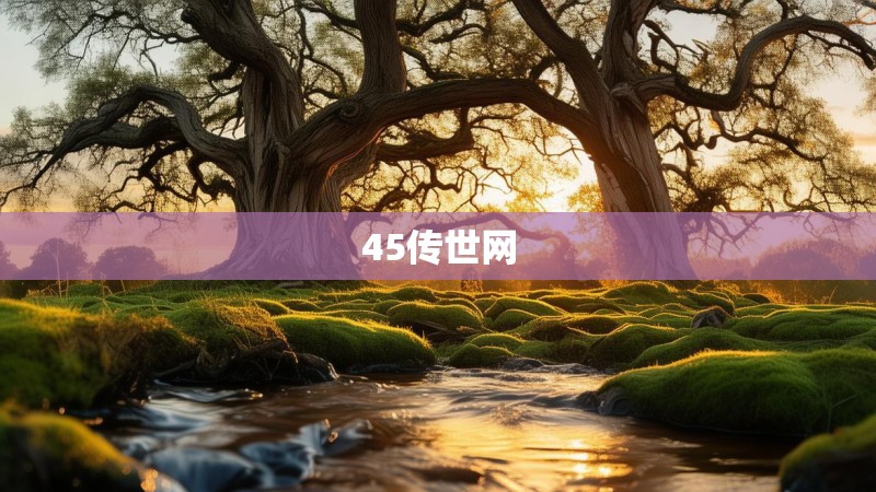 45传世网