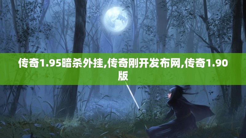 传奇1.95暗杀外挂,传奇刚开发布网,传奇1.90版