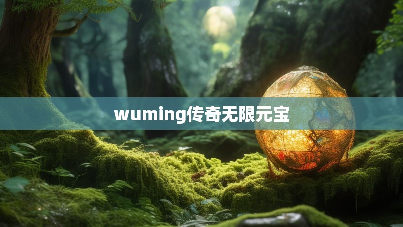 wuming传奇无限元宝