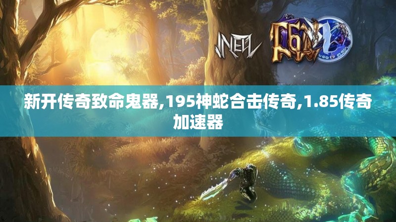 新开传奇致命鬼器,195神蛇合击传奇,1.85传奇加速器