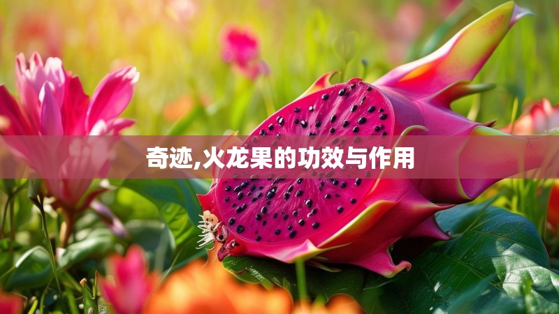 奇迹,火龙果的功效与作用