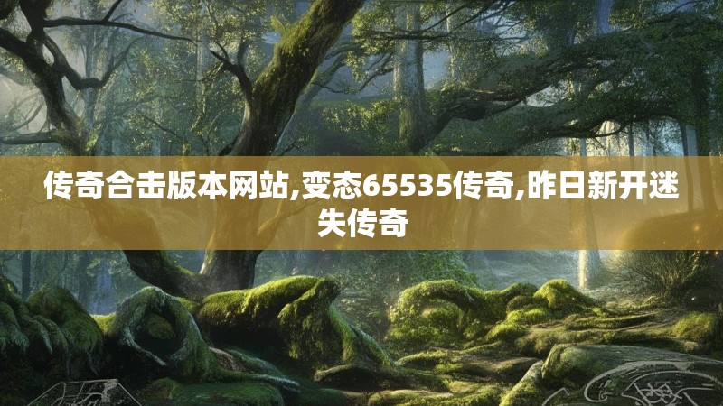 传奇合击版本网站,变态65535传奇,昨日新开迷失传奇