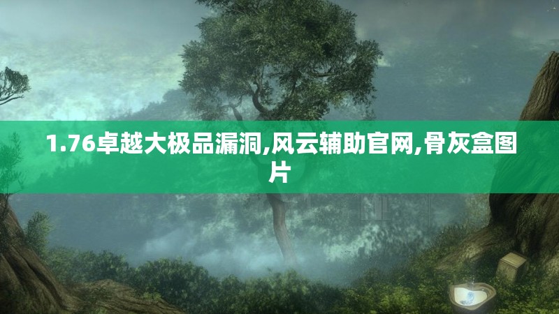 1.76卓越大极品漏洞,风云辅助官网,骨灰盒图片