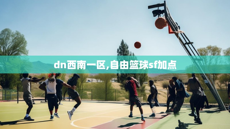 dn西南一区,自由篮球sf加点