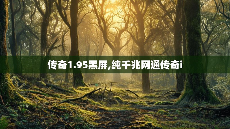 传奇1.95黑屏,纯千兆网通传奇i