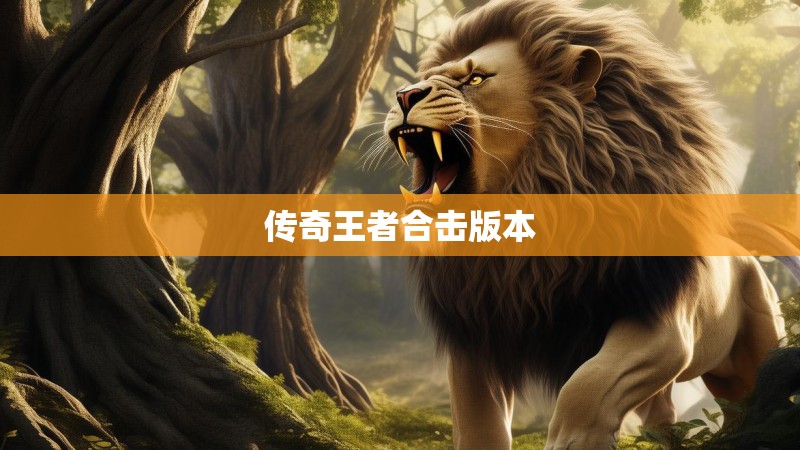 传奇王者合击版本