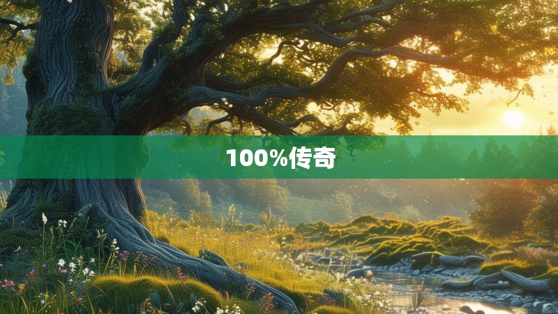 100%传奇