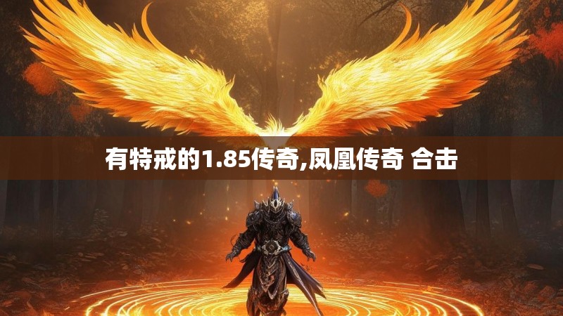 有特戒的1.85传奇,凤凰传奇 合击
