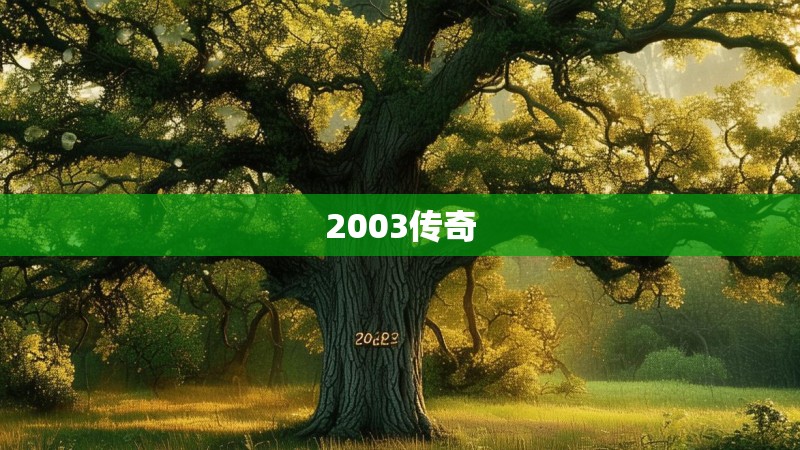 2003传奇