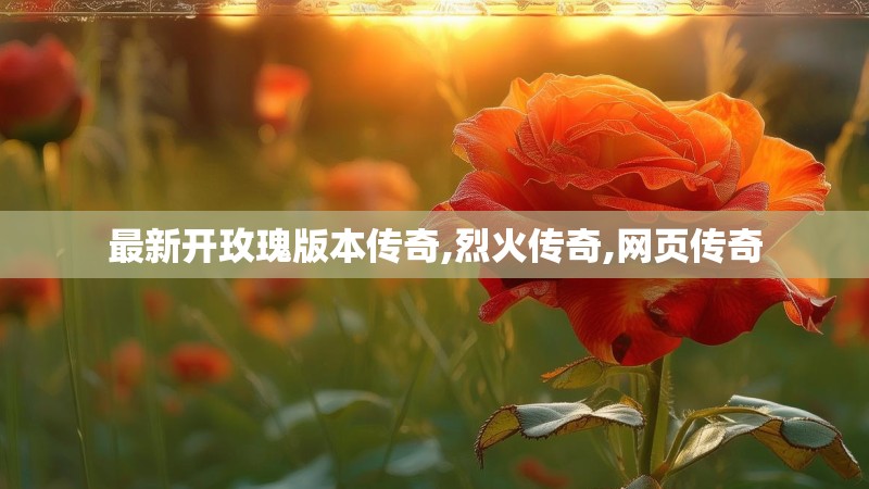 最新开玫瑰版本传奇,烈火传奇,网页传奇