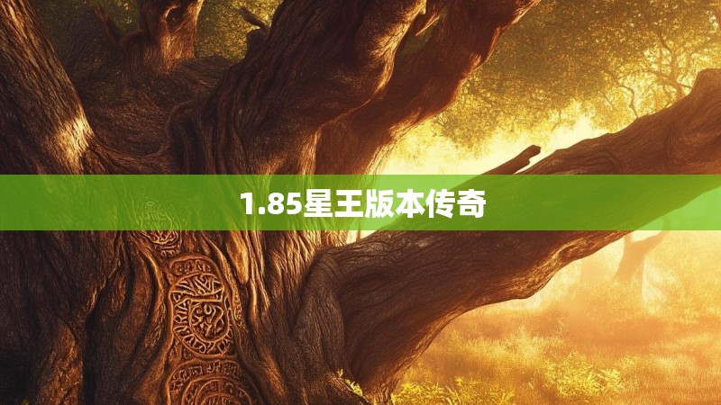 1.85星王版本传奇
