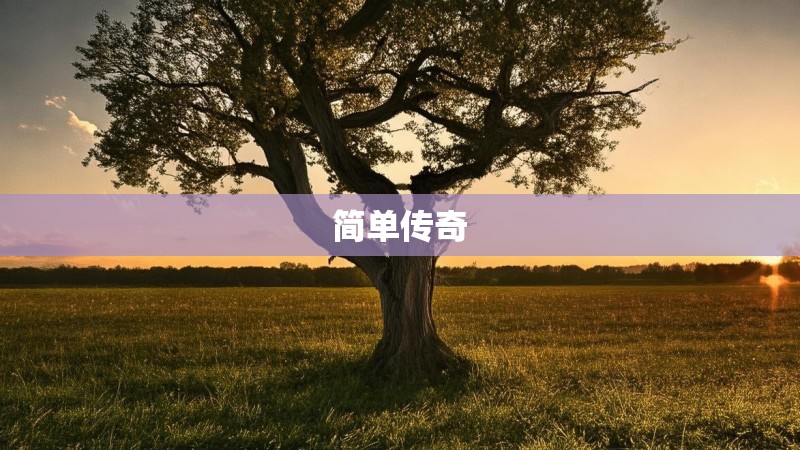 简单传奇