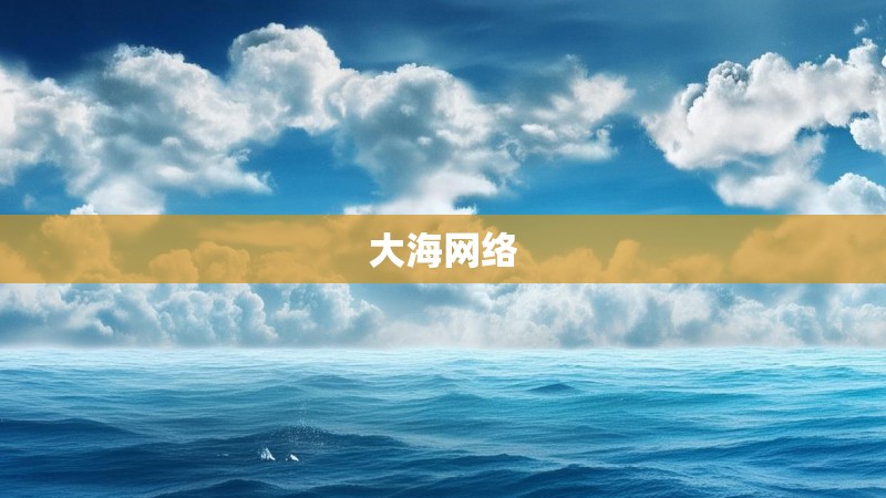 大海网络