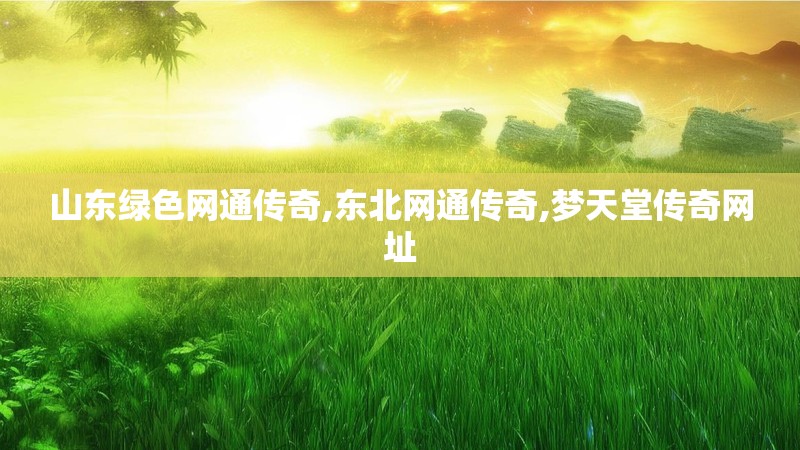 山东绿色网通传奇,东北网通传奇,梦天堂传奇网址
