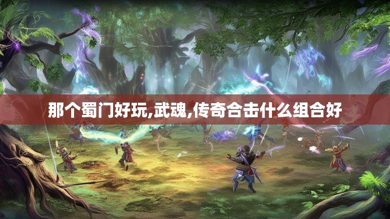 那个蜀门好玩,武魂,传奇合击什么组合好