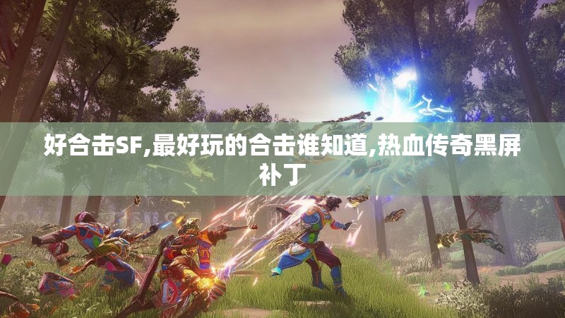 好合击SF,最好玩的合击谁知道,热血传奇黑屏补丁