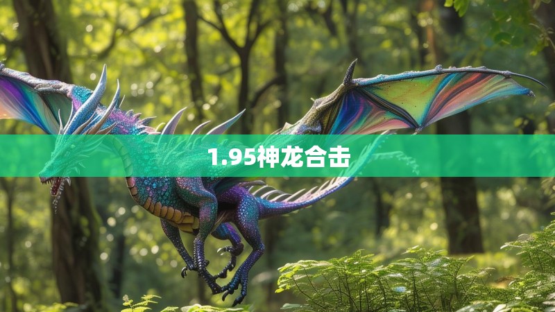 1.95神龙合击