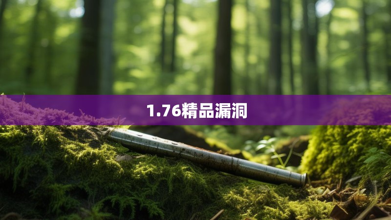 1.76精品漏洞