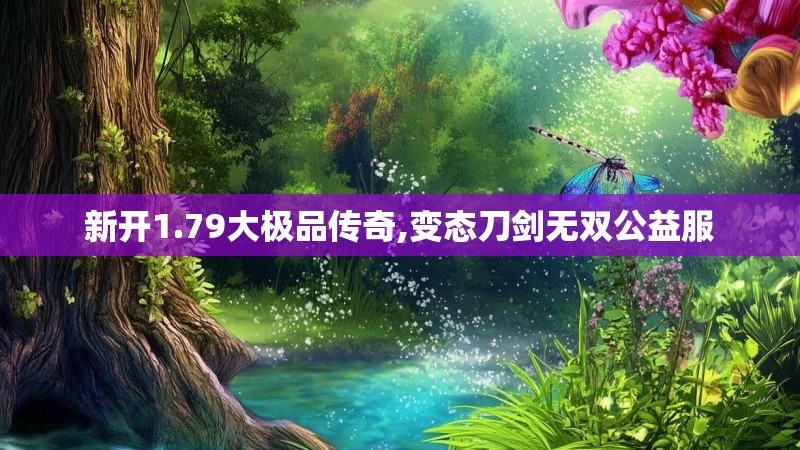 新开1.79大极品传奇,变态刀剑无双公益服