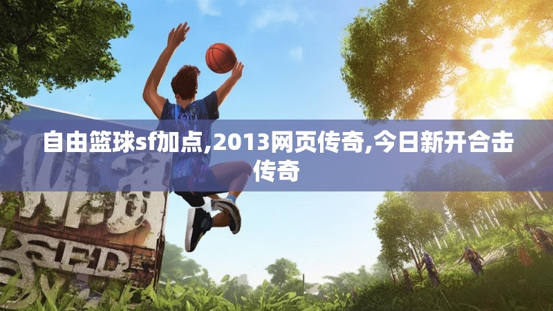 自由篮球sf加点,2013网页传奇,今日新开合击传奇