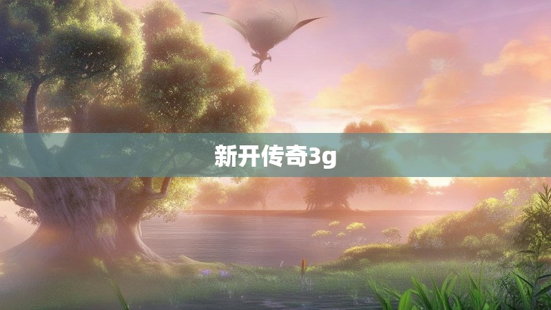 新开传奇3g