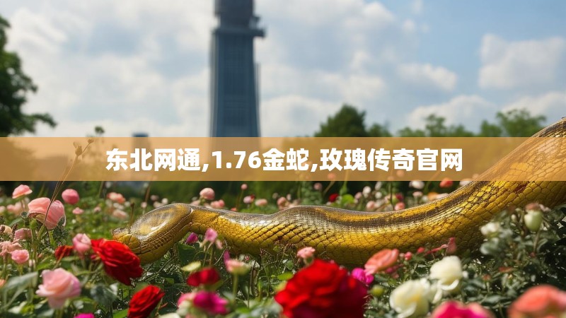 东北网通,1.76金蛇,玫瑰传奇官网