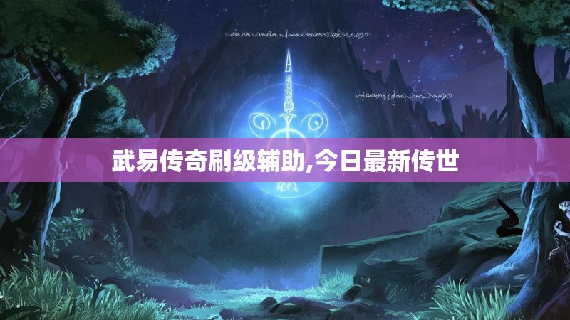 武易传奇刷级辅助,今日最新传世