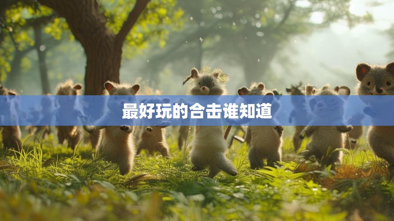 最好玩的合击谁知道