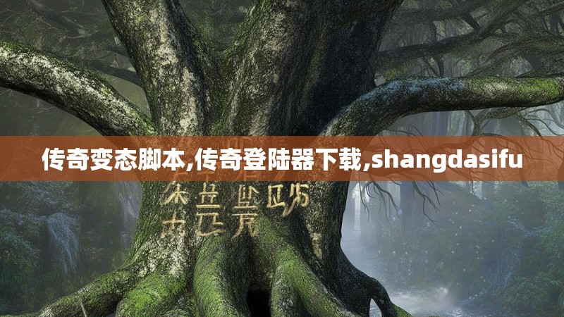 传奇变态脚本,传奇登陆器下载,shangdasifu