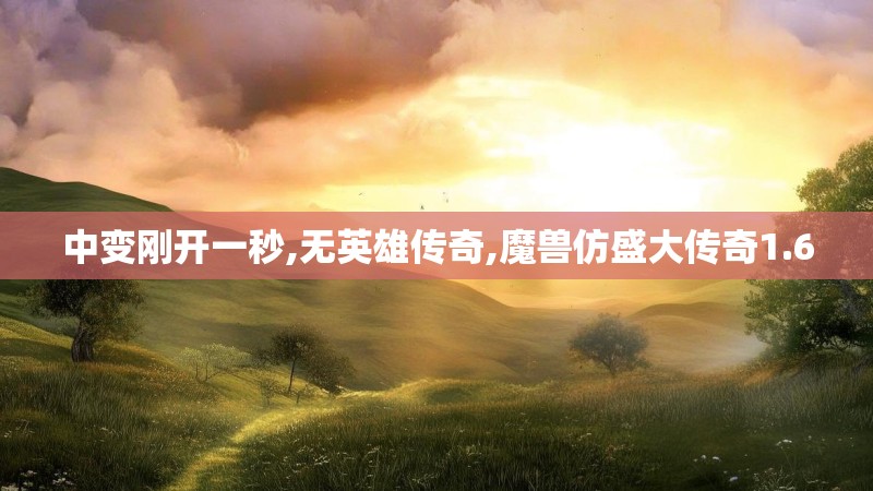 中变刚开一秒,无英雄传奇,魔兽仿盛大传奇1.6