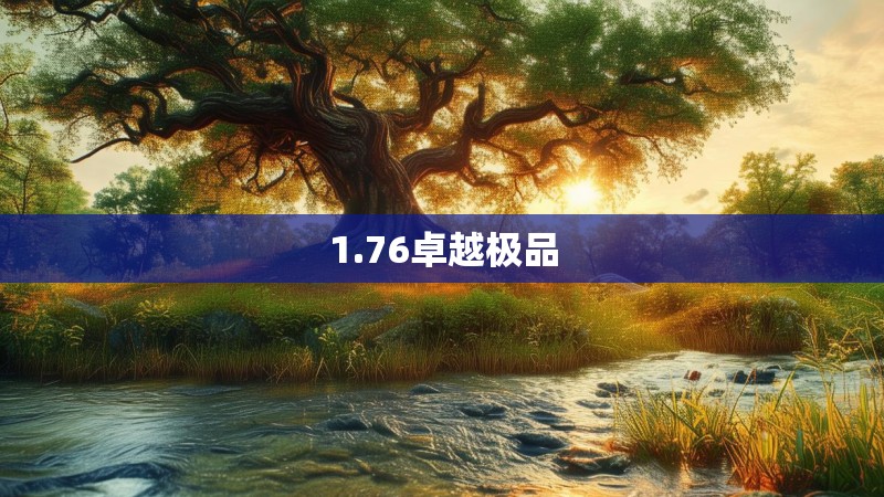 1.76卓越极品