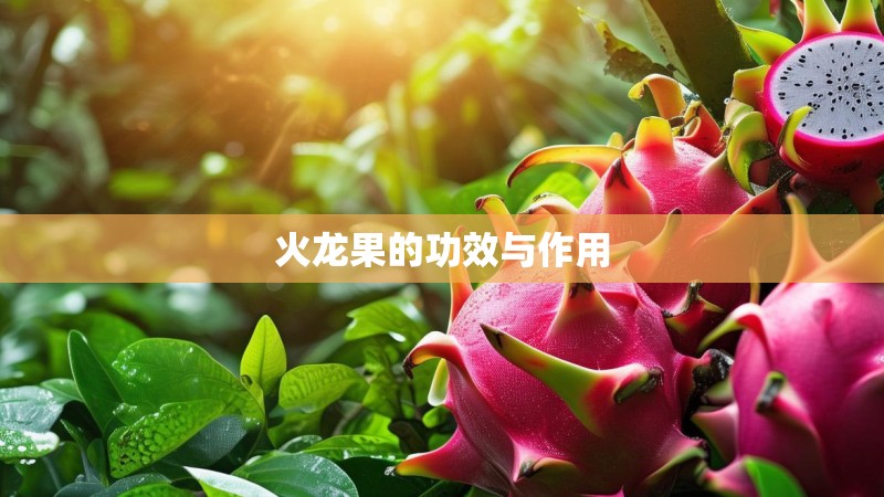 火龙果的功效与作用
