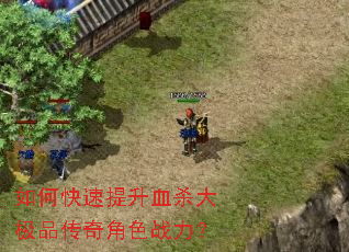 如何快速提升血杀大极品传奇角色战力？