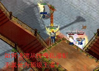 如何快速从传奇私服新手成长为顶级王者？