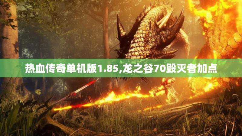 热血传奇单机版1.85,龙之谷70毁灭者加点