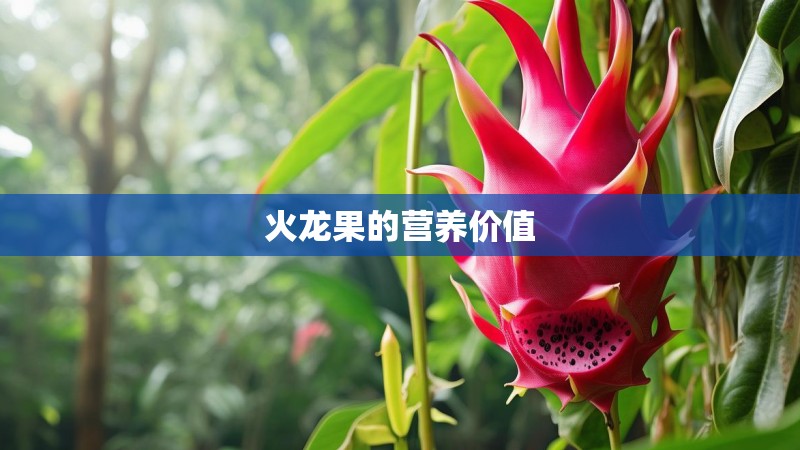 火龙果的营养价值
