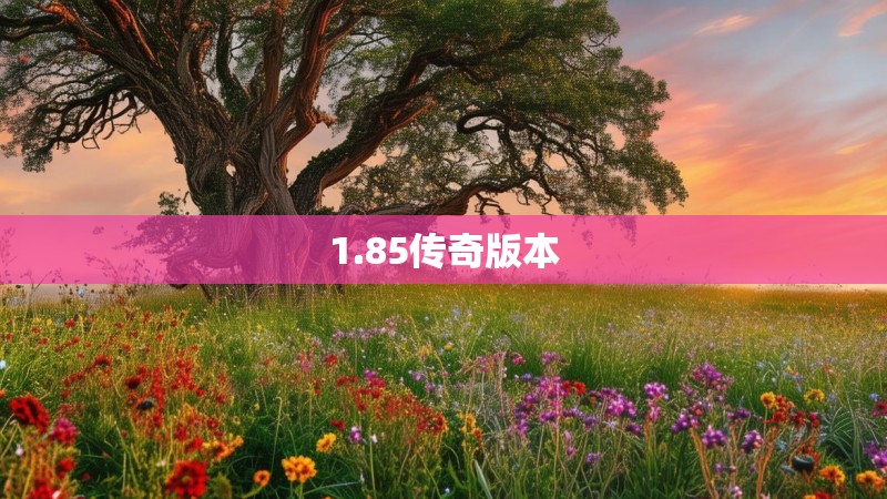 1.85传奇版本