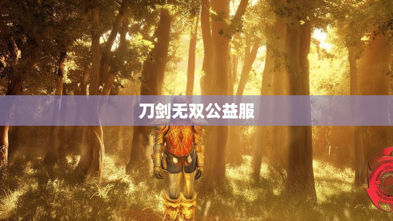 刀剑无双公益服