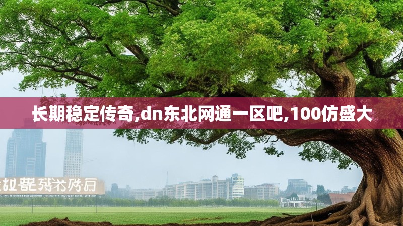 长期稳定传奇,dn东北网通一区吧,100仿盛大