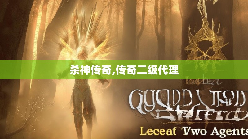 杀神传奇,传奇二级代理