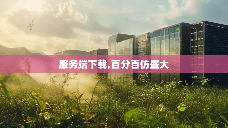 服务端下载,百分百仿盛大