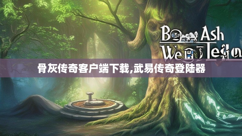 骨灰传奇客户端下载,武易传奇登陆器