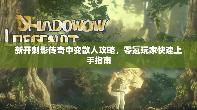 新开刺影传奇中变散人攻略，零氪玩家快速上手指南