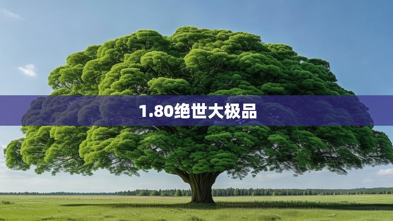 1.80绝世大极品