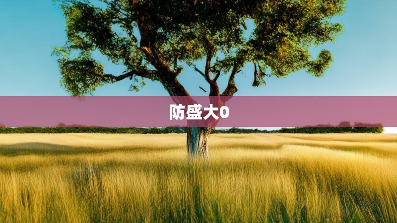 防盛大0