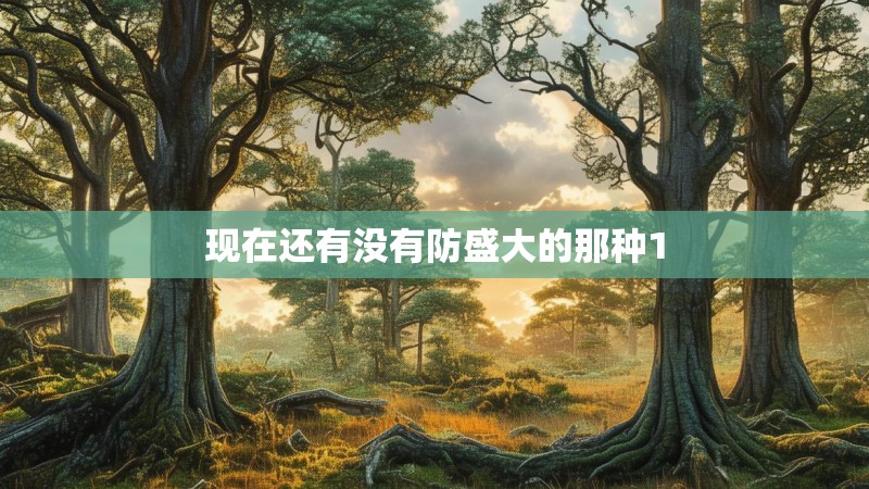 现在还有没有防盛大的那种1